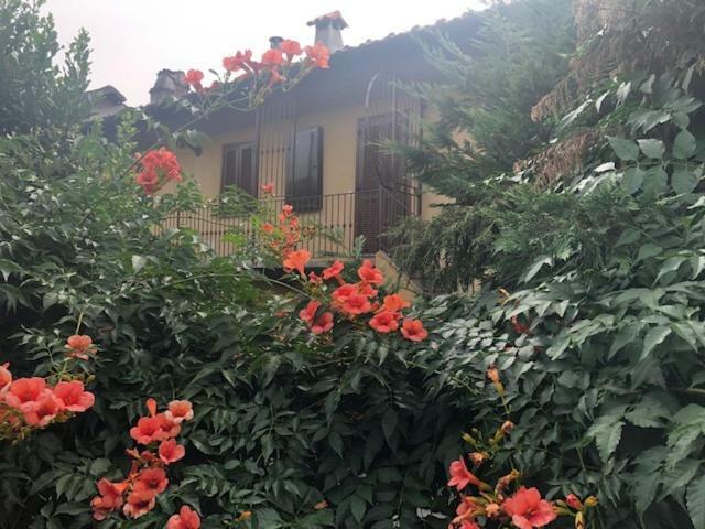 La Casina Del Grillo Bed & Breakfast Turin Ngoại thất bức ảnh